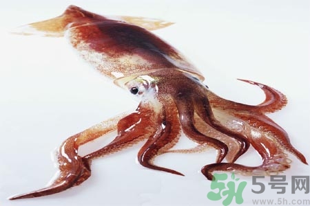 鱿鱼怎么处理干净,鱿鱼怎样做好吃 鱿鱼怎么处理干净,鱿鱼怎样做好吃