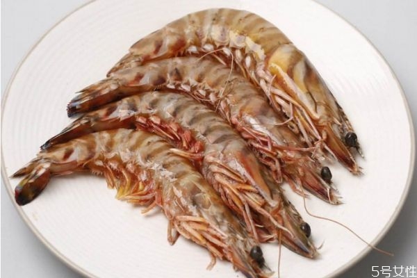 竹节虾是什么虾,竹节虾是九节虾吗 竹节虾是什么虾,竹节虾是九节虾吗