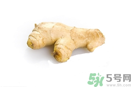 生姜的功效和作用的功能和主治,生姜有什么功效和作用