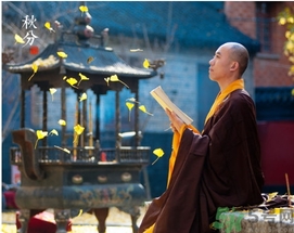 秋分喝什么茶适宜,秋分喝什么茶养生 秋分喝什么茶适宜,秋分喝什么茶养生