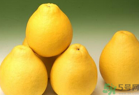 什么地方的柚子好吃,梅州柚子多少钱一斤