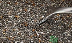 兰香子和奇亚籽有什么区别,奇亚籽和兰香子的功效和作用 兰香子和奇亚籽有什么区别,奇亚籽和兰香子的功效和作用