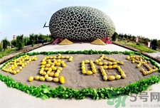 哈密瓜能不能和香蕉一起吃,吃了哈密瓜可以吃香蕉吗