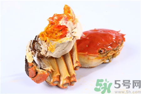 螃蟹公和母的区别图片,螃蟹公母如何区分