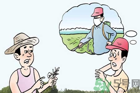 如何洗掉水果上的农药,水果用什么洗去除农药