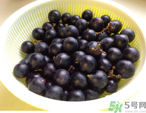 关于夏黑葡萄的说说,关于夏黑葡萄的广告语 关于夏黑葡萄的说说,关于夏黑葡萄的广告语