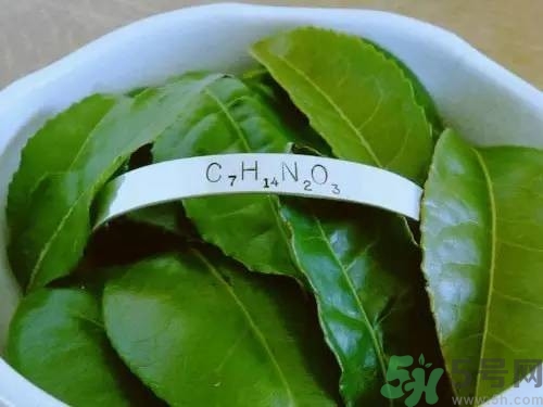什么水有助于睡眠,睡眠必须生活在水中吗 什么水有助于睡眠,睡眠必须生活在水中吗