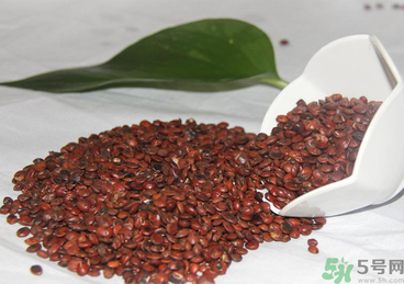 失眠的原因有哪些?,失眠是什么原因导致的 失眠的原因有哪些?,失眠是什么原因导致的