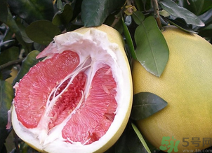 西柚是红心柚吗,如何吃西柚