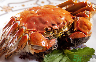 螃蟹哪里不能吃?哪里能吃?,螃蟹哪里不能吃