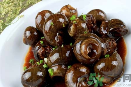 田螺有什么营养价值,田螺有什么营养 田螺有什么营养价值,田螺有什么营养