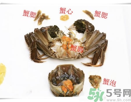 螃蟹有哪些部位不能吃,螃蟹什么部位不可以吃 螃蟹有哪些部位不能吃,螃蟹什么部位不可以吃