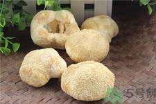 猴头菇吃起来有点苦能吃吗?,猴头菇有苦味正常吗