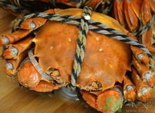 煮熟的螃蟹放冰箱隔夜能吃吗,熟螃蟹隔夜能吃吗