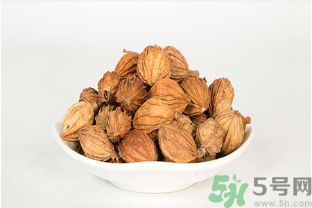 香砂仁的功效和作用,香砂香料的作用和图片 香砂仁的功效和作用,香砂香料的作用和图片