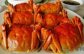 活螃蟹应该怎么保存,螃蟹活着怎么保存