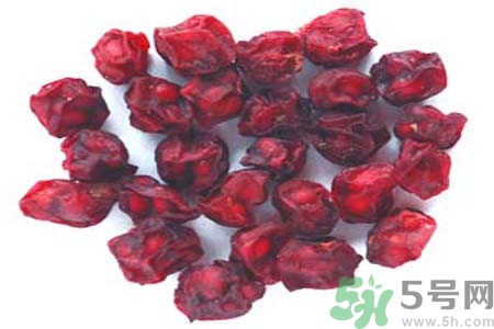 五味子的功能和主治,北五味子的功效和作用的功能和主治