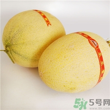 哈密瓜放冰箱变苦了,哈密瓜吃不完可以放冰箱冷藏吗 哈密瓜放冰箱变苦了,哈密瓜吃不完可以放冰箱冷藏吗