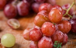 提子能跟牛奶一起吃吗,吃了提子可以喝牛奶吗?