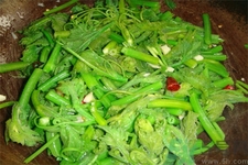 南瓜藤的作用和功效治胆结石,南瓜藤的功效和作用 南瓜藤的作用和功效治胆结石,南瓜藤的功效和作用