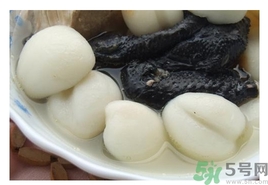 什么是海底椰它有什么功效,什么是海底椰