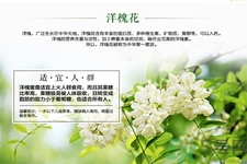 正宗洋槐蜜多少钱一斤,洋槐蜜什么颜色的好 正宗洋槐蜜多少钱一斤,洋槐蜜什么颜色的好