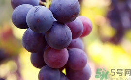 鱿鱼和葡萄干能一起吃吗,鱿鱼丝和葡萄能一起吃吗