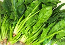 菠菜有什么营养和功效,菠菜的营养价值和功效