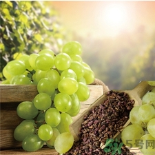 吃葡萄籽有什么好处和坏处,喝葡萄籽的作用和功效