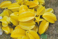 100克杨桃的热量,杨桃的热量,杨桃减肥