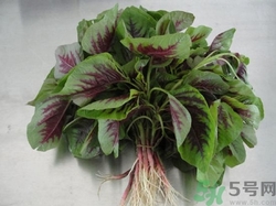 苋菜吃多了有什么坏处,吃菜容易长胖吗