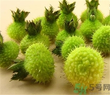 金樱子和刺梨子泡酒的功效,金樱子和刺梨泡酒有什么功效