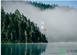 白露吃什么好吃的,白露吃什么好?