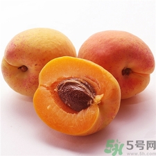 杏子和梅子有啥区别,杏子和梅子是一样的吗