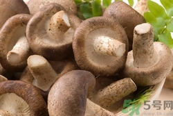 板栗和香菇可以一起吃吗,香菇和板栗可以一起煮鸡肉吗?