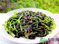 苋菜补血效果好吗,红苋菜的功效和作用吃法