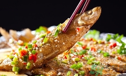 鲷鱼的营养价值及功效 新闻,鲷鱼有什么营养价值 鲷鱼的营养价值及功效 新闻,鲷鱼有什么营养价值