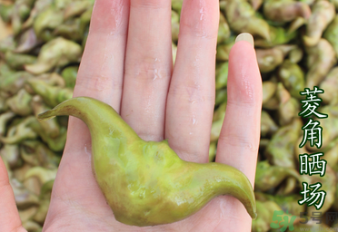 菱角怀孕可以吃吗,菱角吃了有什么好处?孕妇能吃吗