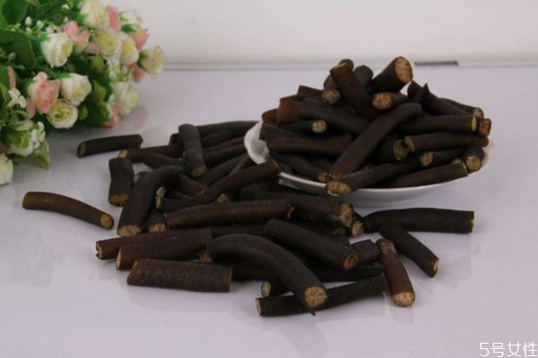 海笋是什么东西,海笋有几种 海笋是什么东西,海笋有几种