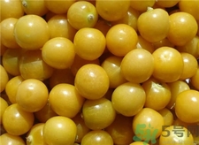 灯笼果的营养价值和食用功效,灯笼姑娘果的功效和作用