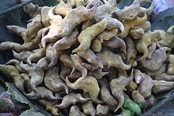 煮菱角需要放盐吗,菱角怎么煮法