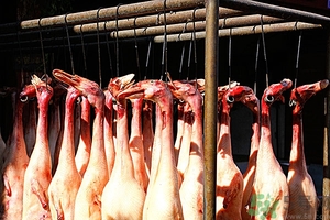 吃鸭肉会长胖吗有什么好处,减肥能吃鸭肉吗?热量高吗?