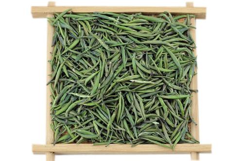 雀舌茶什么人不能喝,雀舌茶好吗 雀舌茶什么人不能喝,雀舌茶好吗