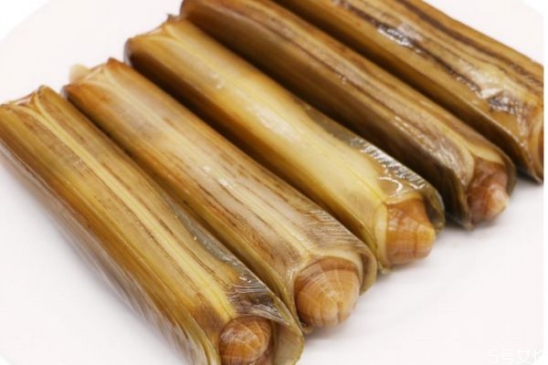 海蛏子是什么,蛏子是海里的吗