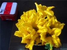 南瓜花的功效和作用是什么,南瓜花吃多了有什么副作用