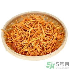 吃虫草花有什么功效和作用,虫草花的功效和作用吃法大全