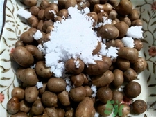 食用山药豆有什么功效,山药豆和山药的功效和作用及食用方法 食用山药豆有什么功效,山药豆和山药的功效和作用及食用方法