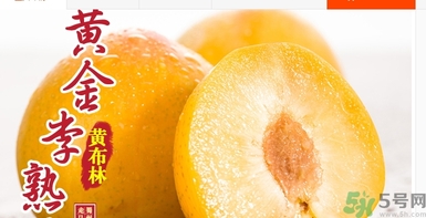 恐龙蛋功效和营养价值,恐龙蛋功效和作用 恐龙蛋功效和营养价值,恐龙蛋功效和作用