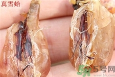 如何辨别雪蛤真假鉴别,雪蛤怎么看真假