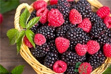 孕妇能吃覆盆子吗,孕早期可以吃覆盆子吗